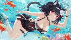 Anime Anime Girls Cat Girl Cat Ears Cat Tail Water Bubbles Underwater Fish Animals Swimming Looking  2880x1620 Wallpaper