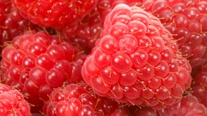 Food Raspberry 7450x4858 Wallpaper