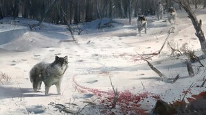 Assassin 039 S Creed Blood Drawing Snow Winter Wolf 1920x1080 Wallpaper