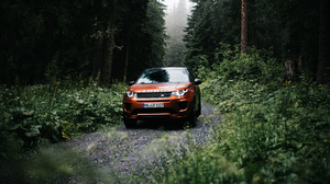 Vehicle Land Rover Car Landscape Forest Tree Bark Road Trees 3000x1687 Wallpaper