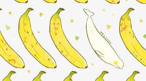 Fruit Dolphin Bananas Humor 1516x1171 Wallpaper