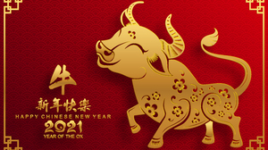 Holiday Chinese New Year 6925x4251 Wallpaper