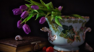 Still Life Flowers Tulips Plants Books Vase Purple Flower 2048x1536 Wallpaper