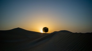 Landscape Silhouette Trees Desert Sunset Sky Sunlight Nature 3127x2081 Wallpaper