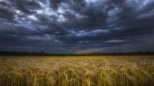 Cloud Field Mood Sky Wheat 1800x1199 Wallpaper