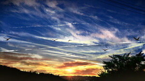 Clouds Sunset Birds Sky Sunset Glow 2445x1406 Wallpaper