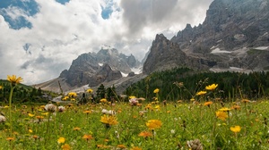 Summer Flower Alps Meadow Dolomites 2200x1438 Wallpaper