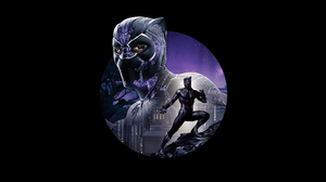 Black Panther Movie Black Panther Marvel Comics T 039 Challa Chadwick Boseman 3840x2160 Wallpaper
