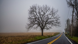 Outdoors Road Asphalt Field Mist Trees Power Lines Landscape 3840x2160 Wallpaper