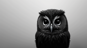 Owl Ai Art Simple Background Monochrome Animals Minimalism 3840x2160 Wallpaper