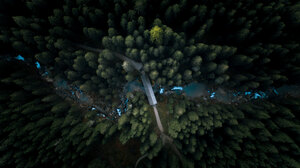 Photography Forest River Nature Trees Bridge Aerial View 2800x1573 Wallpaper