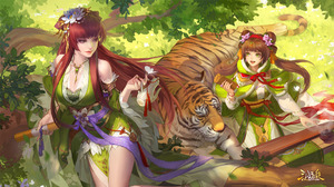 Three Kingdoms Game Characters Video Game Girls Video Game Art Artwork Tiger Animals 1920x1080 Wallpaper