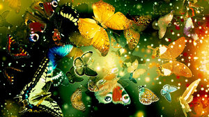 Artistic Butterfly 1600x1200 Wallpaper