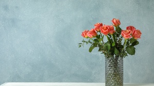 Rose Vase 6720x4480 Wallpaper