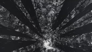 Inubashiri Momiji Touhou Forest Panoramic Sphere Portrait Display Trees Nature Monochrome 2198x6220 Wallpaper