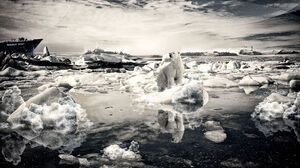 Iceberg Polar Bear Ship 2556x1449 wallpaper