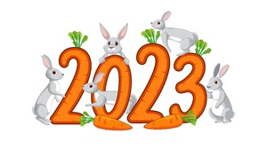 2023 Year Rabbits Carrots Minimalism Simple Background White Background 8043x4524 Wallpaper
