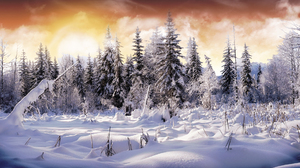 Earth Winter Snow Tree Sky Cloud 1920x1200 Wallpaper