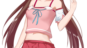 Anime Anime Girls Virtual Youtuber Shinka Musume Long Hair Brunette Artwork Digital Art Fan Art 1500x2540 Wallpaper