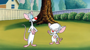 Pinky And The Brain Animation Animated Series Cartoon Production Cel Warner Brothers Mouse Animal Tr 1920x1080 wallpaper