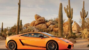 Lamborghini Car Cactus Sport Car Rock Orange Car 1920x1200 wallpaper