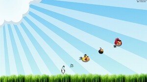 Video Game Angry Birds 1920x1200 wallpaper
