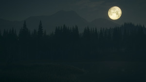 TheHunter Call Of The Wild Night Video Game Art Moon Moonlight Forest Trees Sky Clouds Mountains Vid 2560x1440 Wallpaper