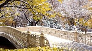 Central Park Bridges Winter Snow Leaves Trees Branch 1920x1200 Wallpaper