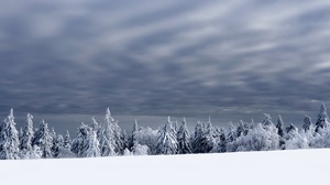 Nature Winter Landscape Trees Sky Cold Snow Outdoors 3840x2160 wallpaper