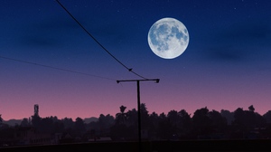 Moon Rays Atree Night Landscape Wires Poles Depth Of Field 6000x4000 Wallpaper
