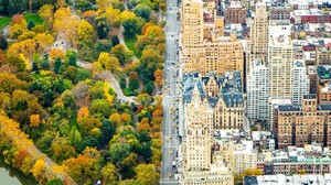 City Architecture Building New York City USA Nature Park Central Park Street Road Taxi Car Trees Fal 1280x1920 Wallpaper