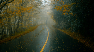 Fall Nature Road Dark Mist Foliage Trees Leaves Andrew Perales 6000x4000 Wallpaper