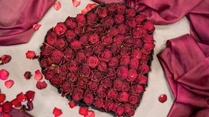 Heart Shaped Rose Red Rose Red Flower Romantic 2560x1576 Wallpaper