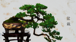 Artistic Bonsai Kanji Plant Pot Plant Tree 2560x1440 Wallpaper
