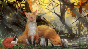 2D Artwork Drawing Illustration Fox Animals Family Forest Environment Ydiya Kai 2582x1279 Wallpaper