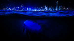 Blue City Night Photoshop Sea Sea Monster Underwater 3840x2160 Wallpaper