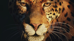 GV Prashanth Portrait Animals Portrait Display Leopard ArtStation Big Cats Feline Mammals 2500x3704 Wallpaper