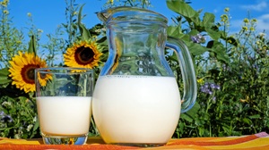 Drink Glass Jug Milk 4896x3264 Wallpaper