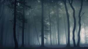 Nature Forest Mist Trees Dark Spooky Deep Forest 1804x1200 wallpaper