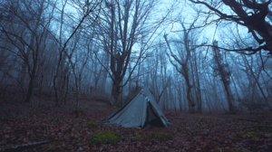 Forest Dark Camping Tree House Forest Clearing Landscape Nature Grey Clothing Mist Cold Coldesign Da 1920x1080 Wallpaper
