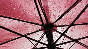 Photography Umbrella 1920x1200 Wallpaper