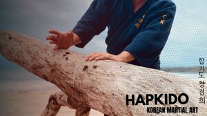 Hapkido Korean Martial Arts 1920x1080 wallpaper