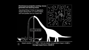 Dinosaurs Science Diagrams Biology Illustration Monochrome Humor Brachiosaurus Black Background 1920x1080 Wallpaper