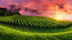 Earth Sky Cloud Purple Field Green 7020x3950 Wallpaper
