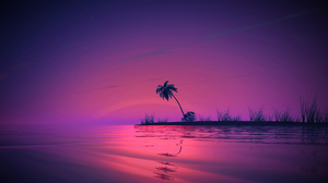 Palm Trees Sunset Reflection 3840x2160 Wallpaper
