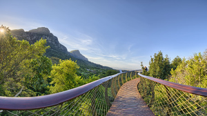 Cape Town South Africa Table Mountain Bridge Nature Trees Kirstenbosch National Botanical Garden Sky 4000x2036 Wallpaper