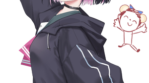 Anime Anime Girls Choker Cat Girl Cat Ears Portrait Display Looking At Viewer Short Hair Two Tone Ha 2507x4039 Wallpaper