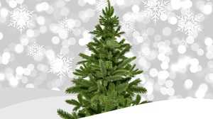 Christmas Tree Snowflake 6000x4000 Wallpaper