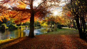 Landscape 4K Park Fall Trees Yellow Leaves Lake Fountain Sun New Zealand Queenstown 3840x2160 Wallpaper