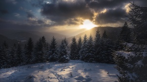 Carpathian Mountains Cloud Mountain Nature Snow Spruce Sunlight 2560x1707 Wallpaper